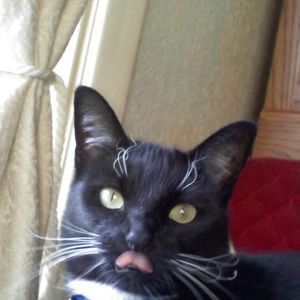 Meet your Posher, Sharon